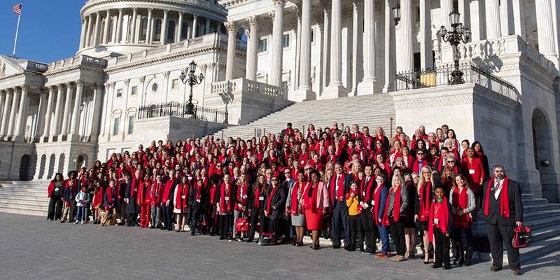 Group of advocates in front of capitol