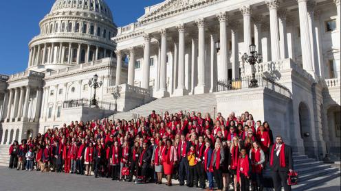 People in front of capitol steps