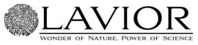 Lavior logo