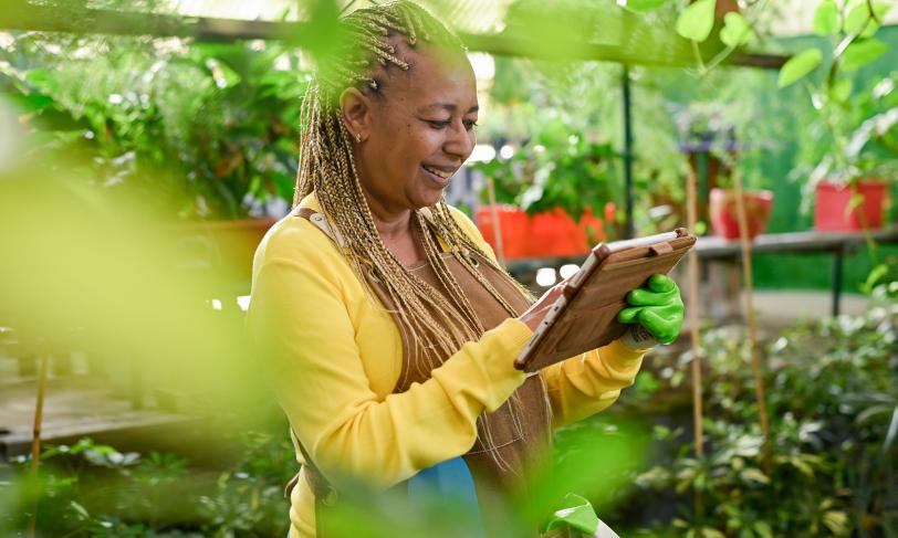 African American woman in greenhouse looking at mobile device