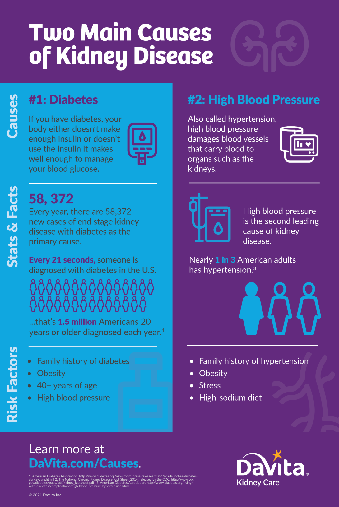 Causes of CKD Infographic